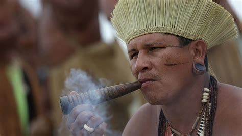 El Tabaco En La época Prehispánica Planta Sagrada Y Medicinal México