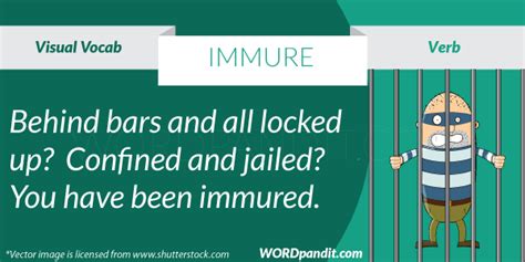 Immure | Wordpandit