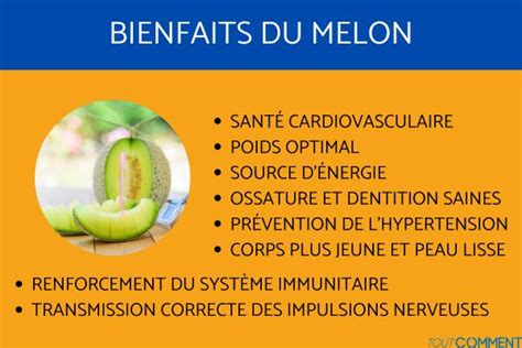 MELON PROPRIÉTÉS et BIENFAITS DÉLICIEUX FRUITS de SAISON