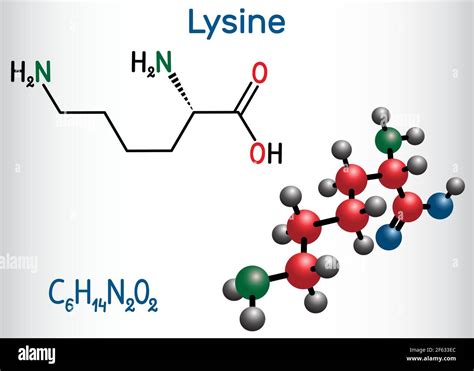 Molécule Dacide Aminé Lysine L Lysine Lys K Il Est Utilisé Dans La Biosynthèse Des