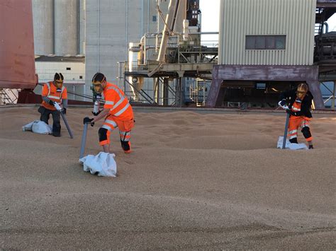 Fumigation In Ship Holds Fumiteam