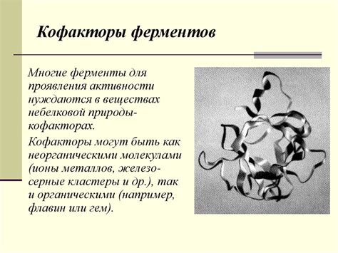 Ферменты. Химия. 10 класс - презентация онлайн