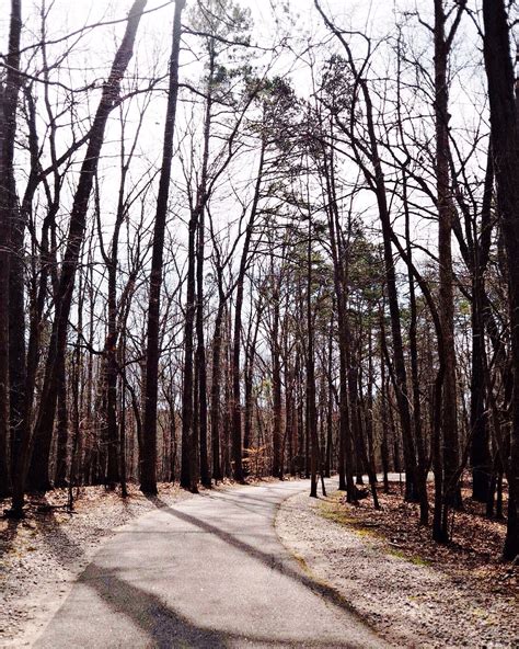 Free Images Tree Nature Forest Branch Snow Winter Autumn Park