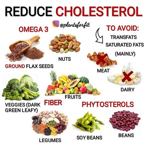 Fructose Malabsorption Food List Which Foods To Avoid Artofit