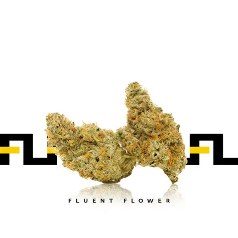 Peach Crescendo Fluent Flower Hybrid Indica Jane