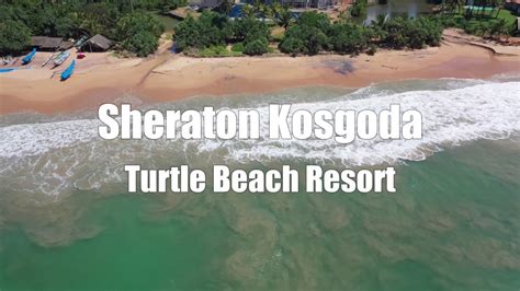 Sheraton Kosgoda Turtle Beach Resort Youtube