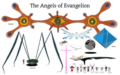 The Size Of The Angels In Evangelion The Purple Robot Is Approx 80m