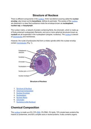 Structure of Nucleus | PDF