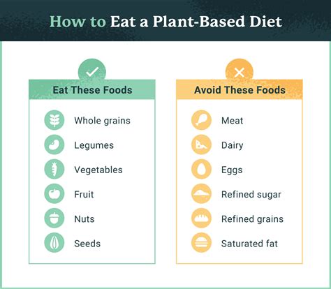 Physical Therapy And Nutrition 4 Benefits Of A Plant Based Diet Usahs