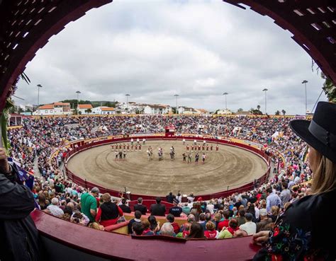 Fenomenal Concurso De Ganadarias Na Monumental Da Ilha Terceira Sol E