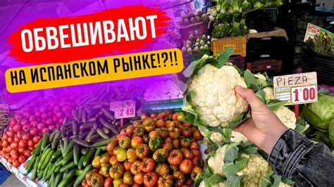Рынок в Торревьехи | Сравнение цен на продукты - YouTube