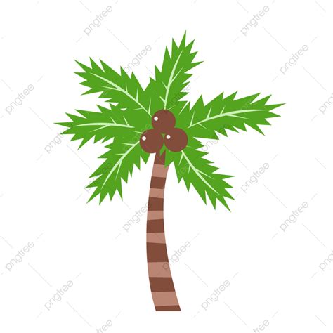 Vector De Dibujos Animados Material De Coco Png Vector Coconut