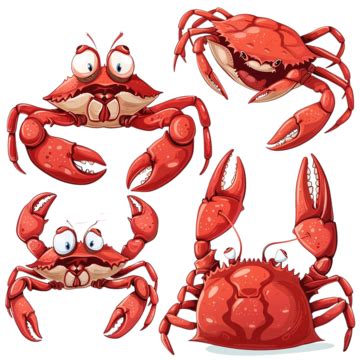 Red Cartoon Crabs Crab Red Crab Red PNG Transparent Image And