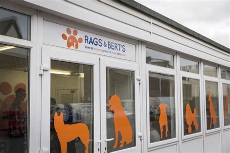 Rags And Berts Doggy Day Care Reading Berkshire Rg30 1dz