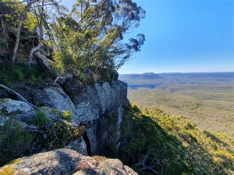 Pigeonhouse Mountain - Aussie Bushwalking