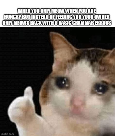 Sad Meow Meow Noises Rmemes