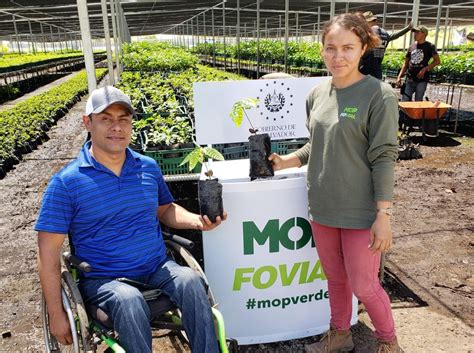 El Salvador sembrará un millón de plantas en invierno Noticias de hoy