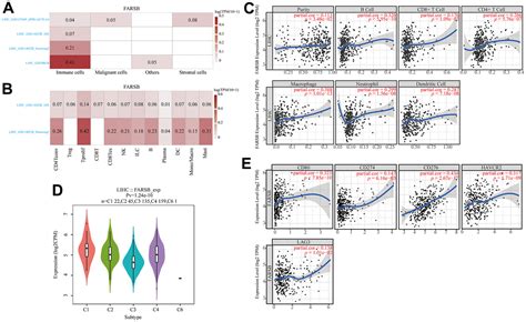 Farsb Serves As A Novel Hypomethylated And Immune Cell Infiltration