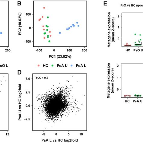 Similarities And Differences In Global Gene Expression Principal