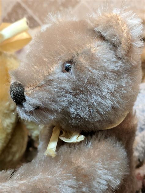 S S Caramel Vintage Steiff Original Teddy Bear Teddy Bear