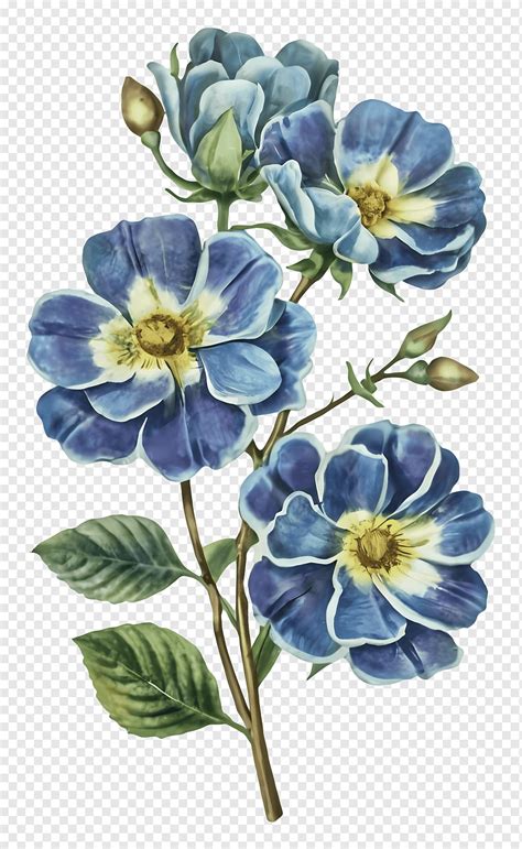 Vintage Blue Flower Painting Vintage Flower Painting Png PNGWing