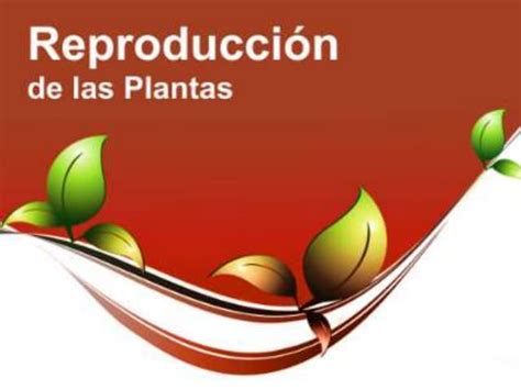 La Reproduccion De Los Vegetales