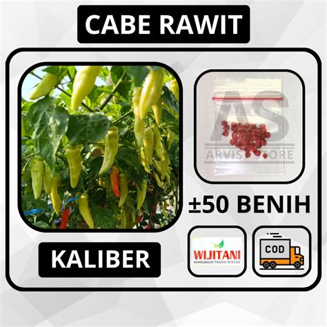 Jual 50 Butir Benih CABE RAWIT KALIBER Cabai Wiji Tani Lombok Bibit