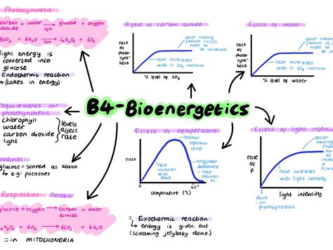 Gcse Biology Mindmaps Etsy