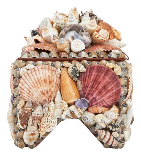 large shell boxes jayson home