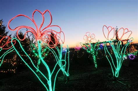 Winter Garden Aglow Brightens Grounds Of Idaho Botanical Garden