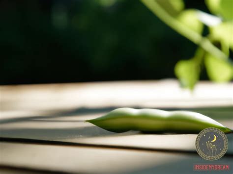 Green Bean Dream Meaning Symbolism And Interpretation