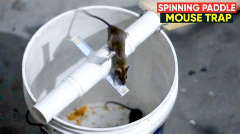 Bucket Mouse Trap Spinning Paddle Trap Homemade Mouse Trap Youtube