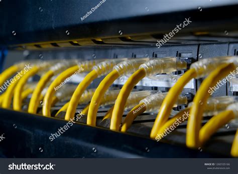 Rj45 Connector Utp Cat6 Cable On Stock Photo 1260105166 | Shutterstock