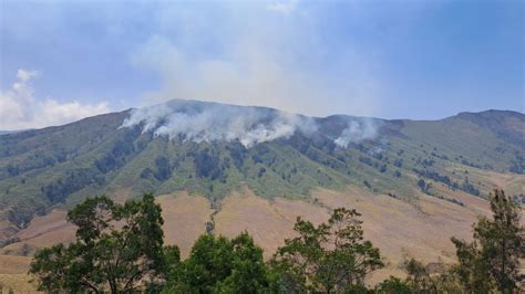 Foto Kebakaran Gunung Bromo Mulai Terkendali Pasca Insiden Flare Foto