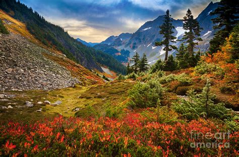 Cascade Pass Fall Photograph By Inge Johnsson Pixels