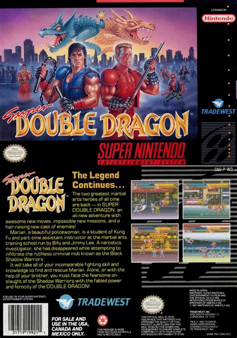 Double Dragon Dojo Super Double Dragon Review