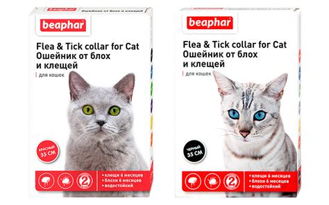 ТОП-10: Эффективные средства от блох для кошек рейтинг 2025 | TruTop.ru
