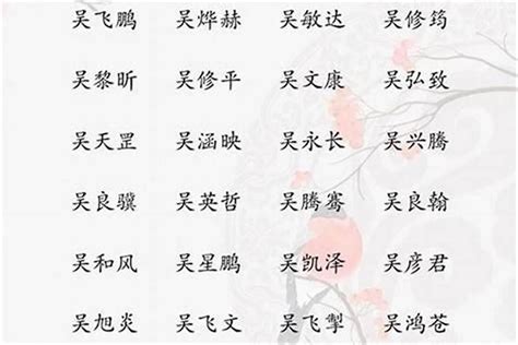 吴姓男孩取名一个字 宝宝名字带东字 起名 若朴堂文化