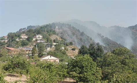 Vasto Incendio Nel Catanzarese Canadair In Azione Soverato Web