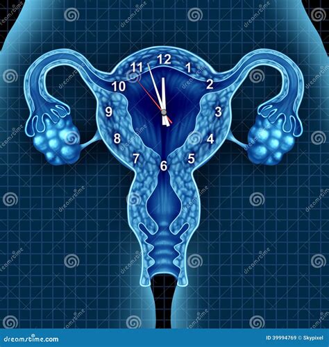 Fertility Clock Stock Illustrations – 258 Fertility Clock Stock