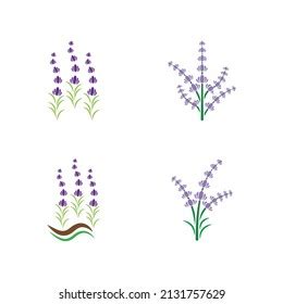 Fresh Lavender Flower Logo Vector Flat Stock Vector Royalty Free