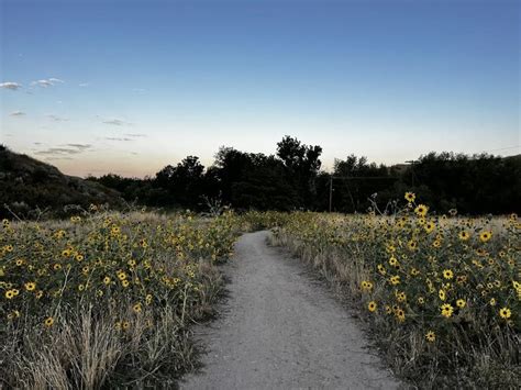 Camels Back Trails Loop In Boise Idaho Bucket List Worthy Hike