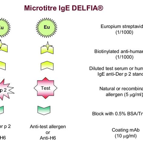 Ige Binding Of Variants Of Der P Results Show Ige Binding Of Ige