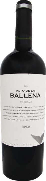 Alto De La Ballena Reserva Merlot 2018 Revista ADEGA