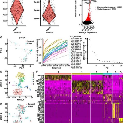 Cell Processing Of Scrna Seq Dataset Gse81608 A Number Of Genes Per