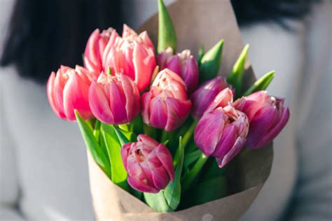 7 Most Popular Types of Flowers to Give or Grow