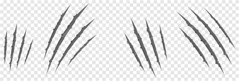 Premium Vector Vector Scratches From The Claws Of The Animal Png