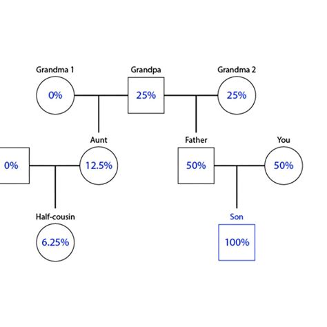 related   child   parents  sibling