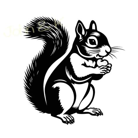 Squirrel Svg Etsy