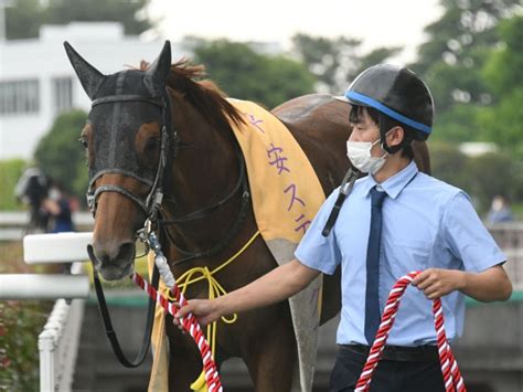 【今日の注目ポイント】中京でダート王決定戦チャンピオンズc 競馬ニュース Netkeiba